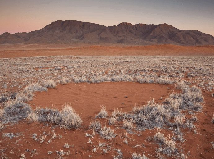 Unraveling the Mystery of Namibia's Fairy Circle